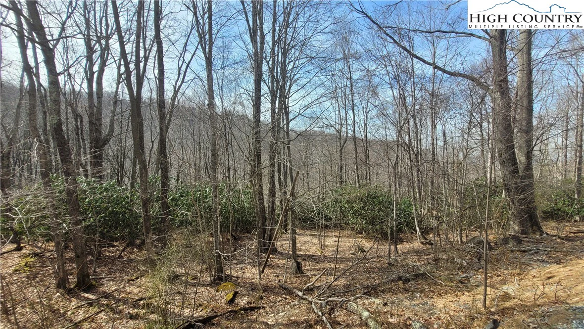 Image number 3 for the current listing