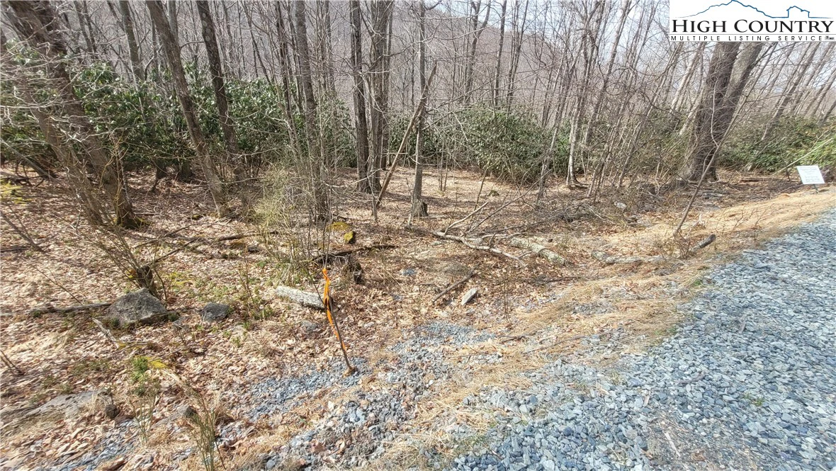 Image number 21 for the current listing