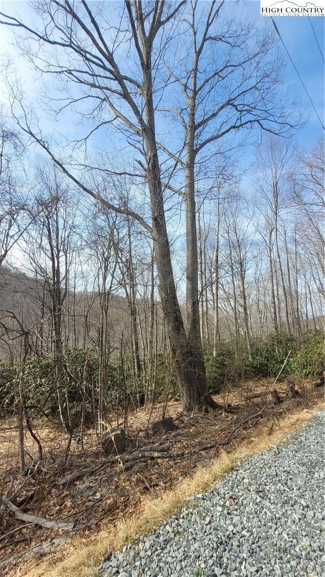 Image number 20 for the current listing
