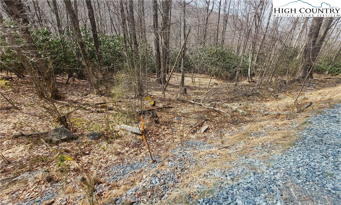 Image number 12 for the current listing