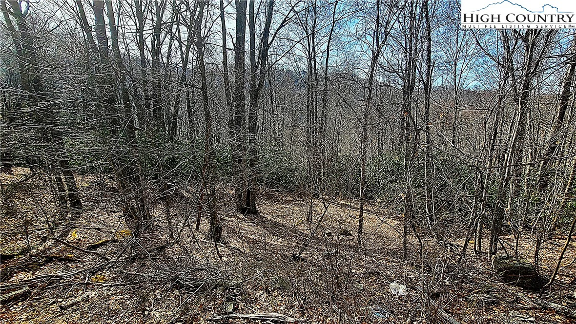 Image number 9 for the current listing