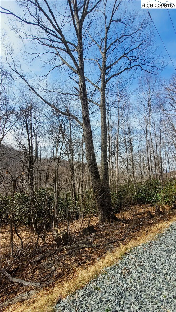 Image number 6 for the current listing