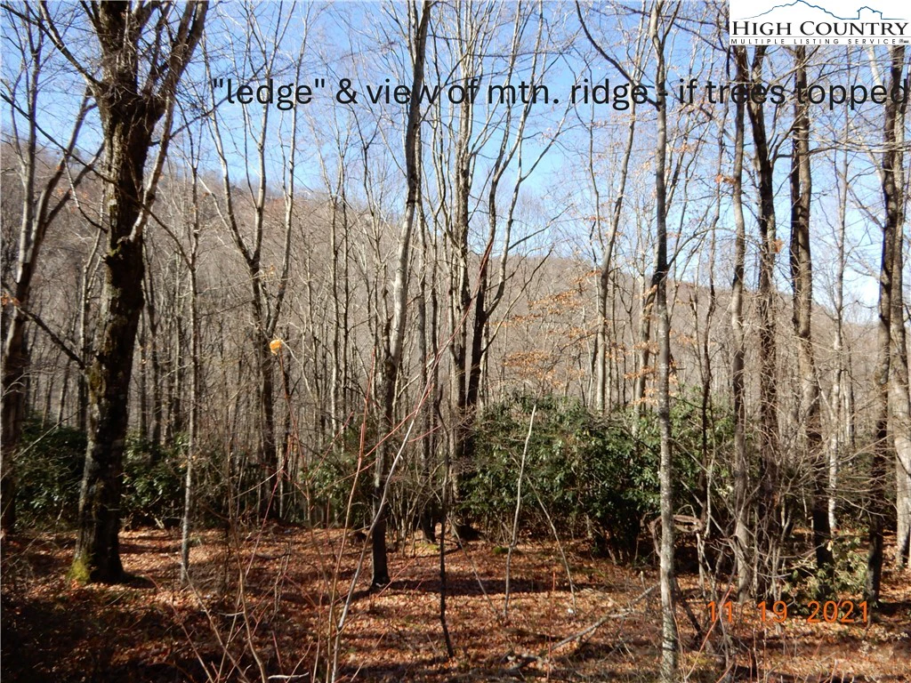 Image number 5 for the current listing