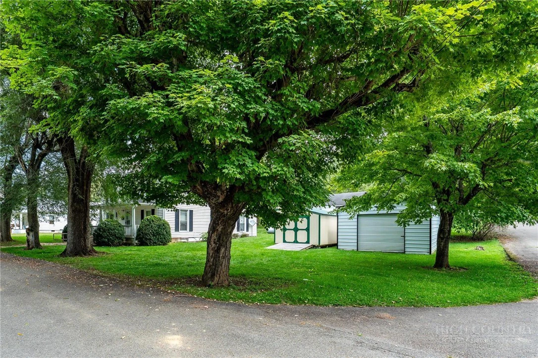 Image number 11 for the current listing