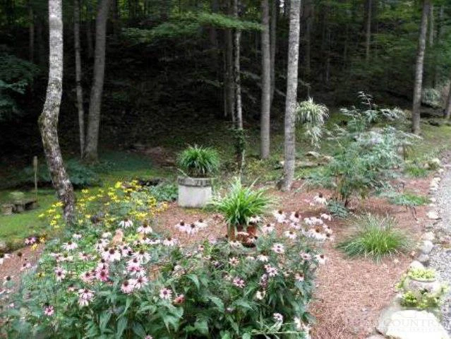 Image number 6 for the current listing