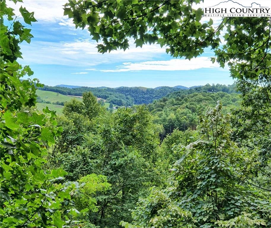Image number 18 for the current listing