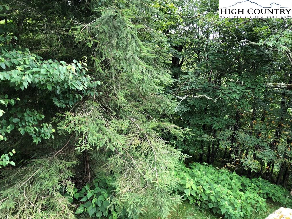 Image number 11 for the current listing