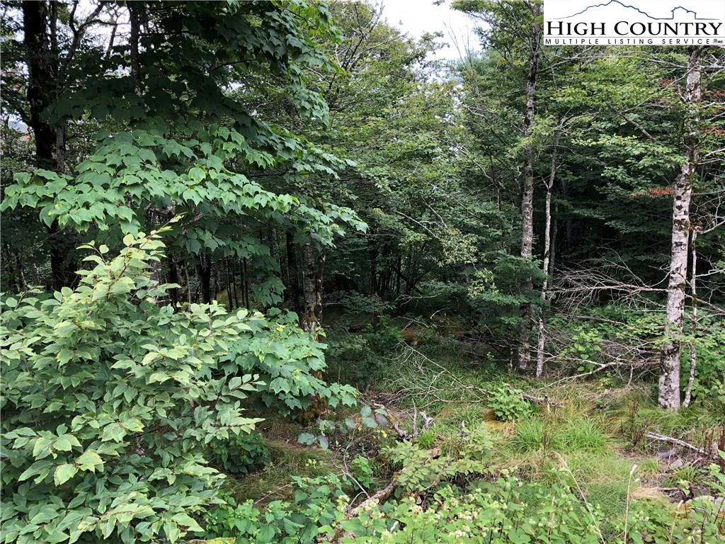 Image number 3 for the current listing