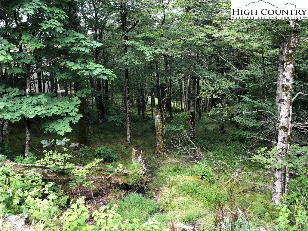 Image number 4 for the current listing