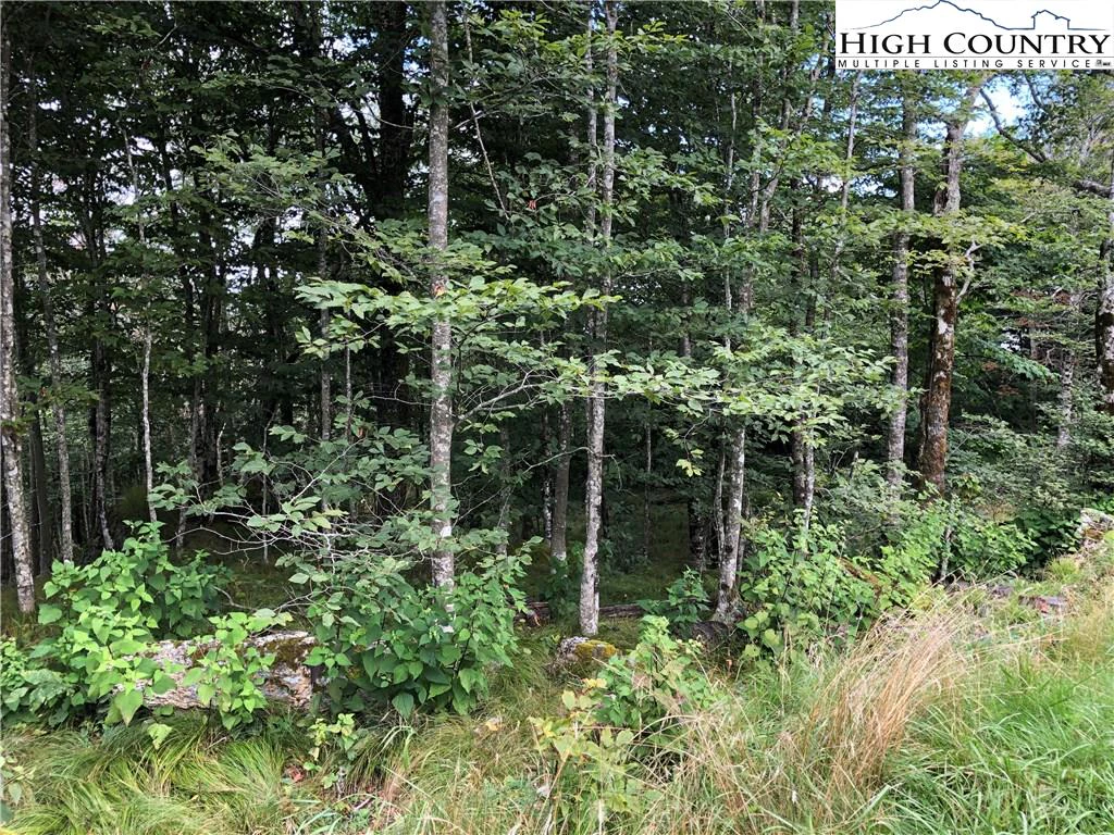 Image number 5 for the current listing