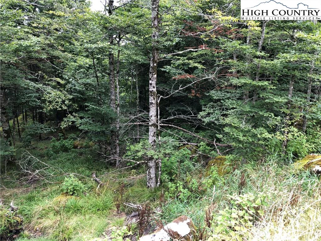 Image number 6 for the current listing