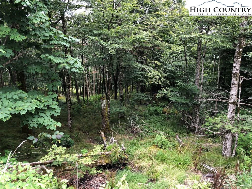 Image number 7 for the current listing