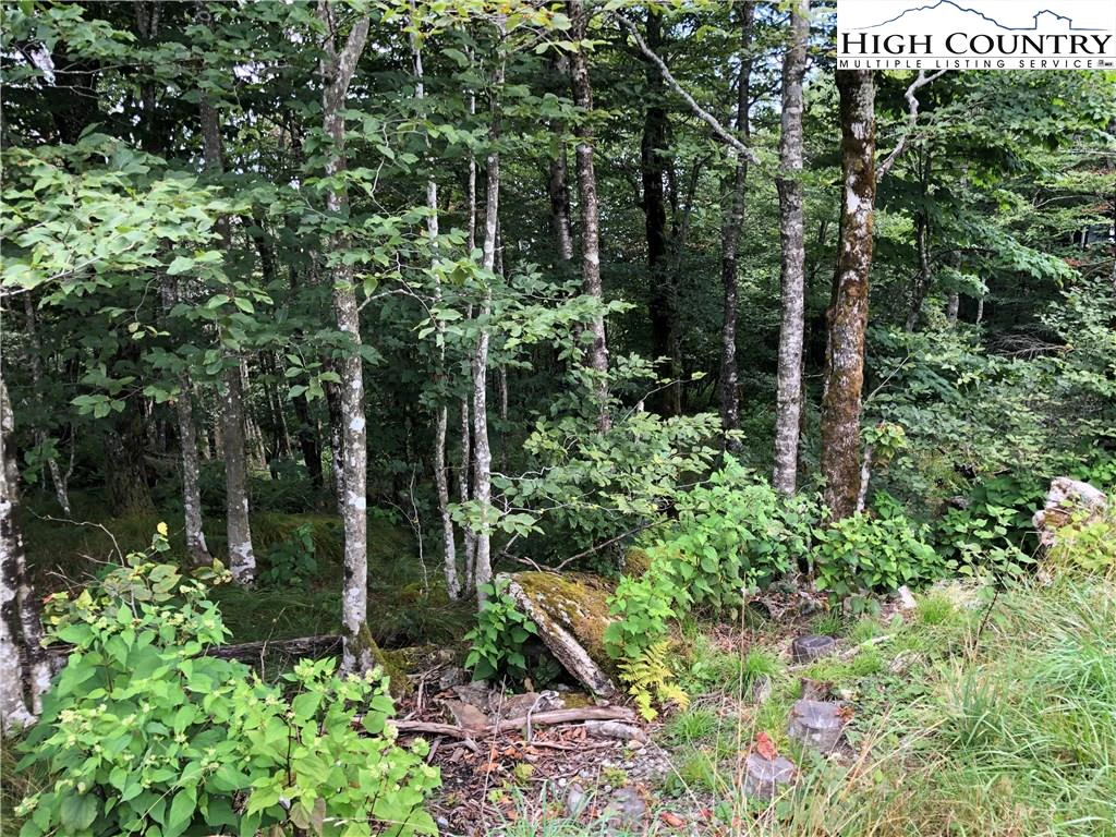 Image number 9 for the current listing