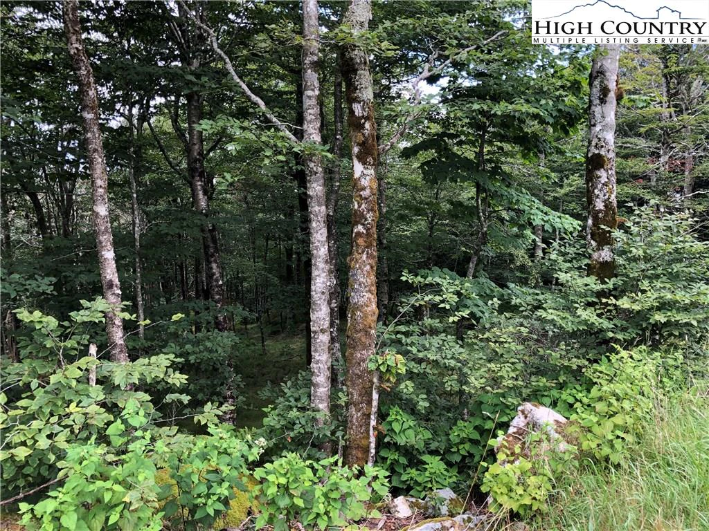 Image number 10 for the current listing