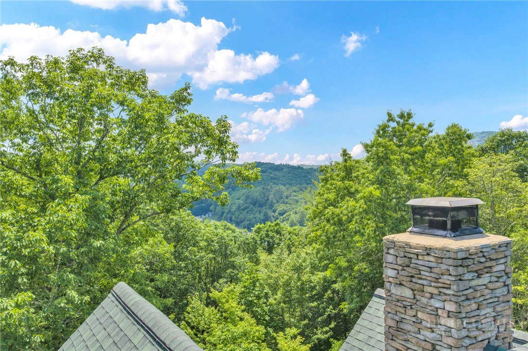Image number 2 for the current listing