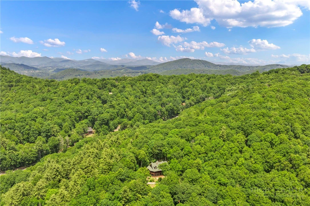 Image number 4 for the current listing