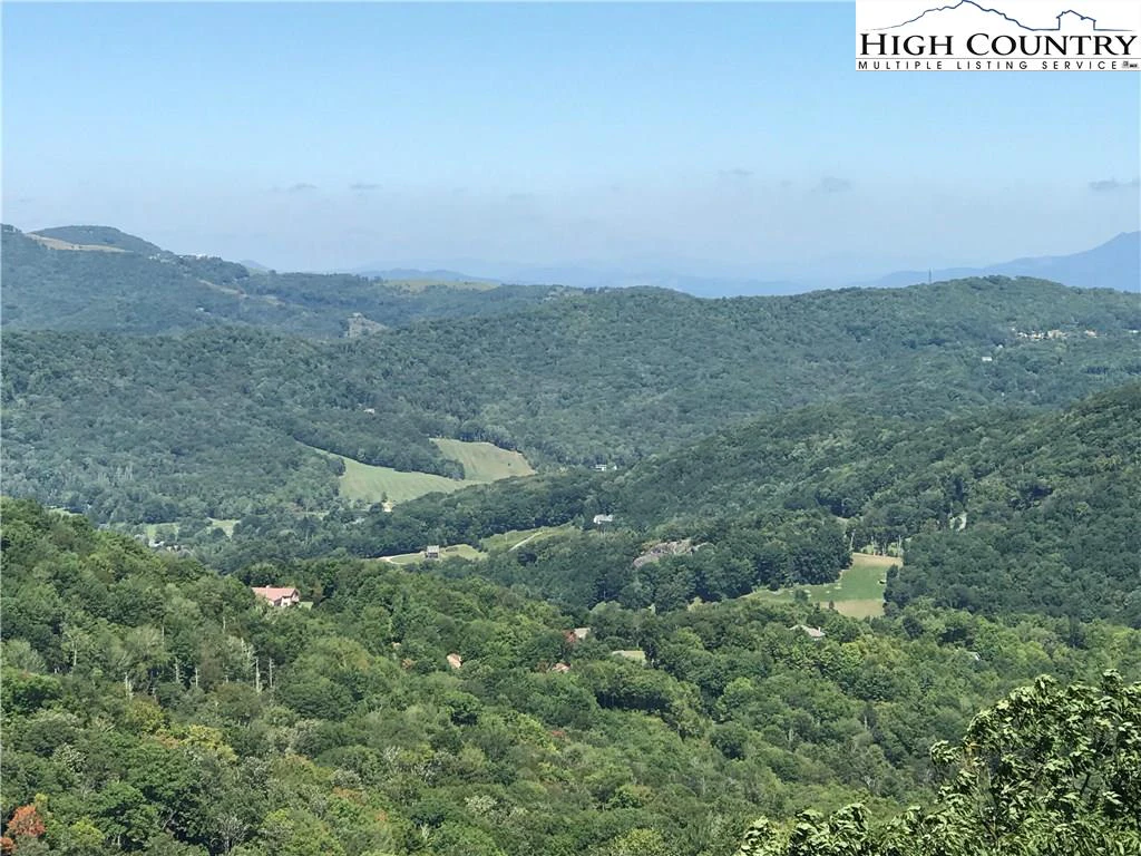 Image number 1 for the current listing