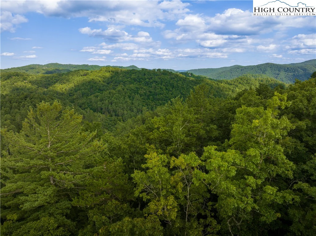 Image number 1 for the current listing