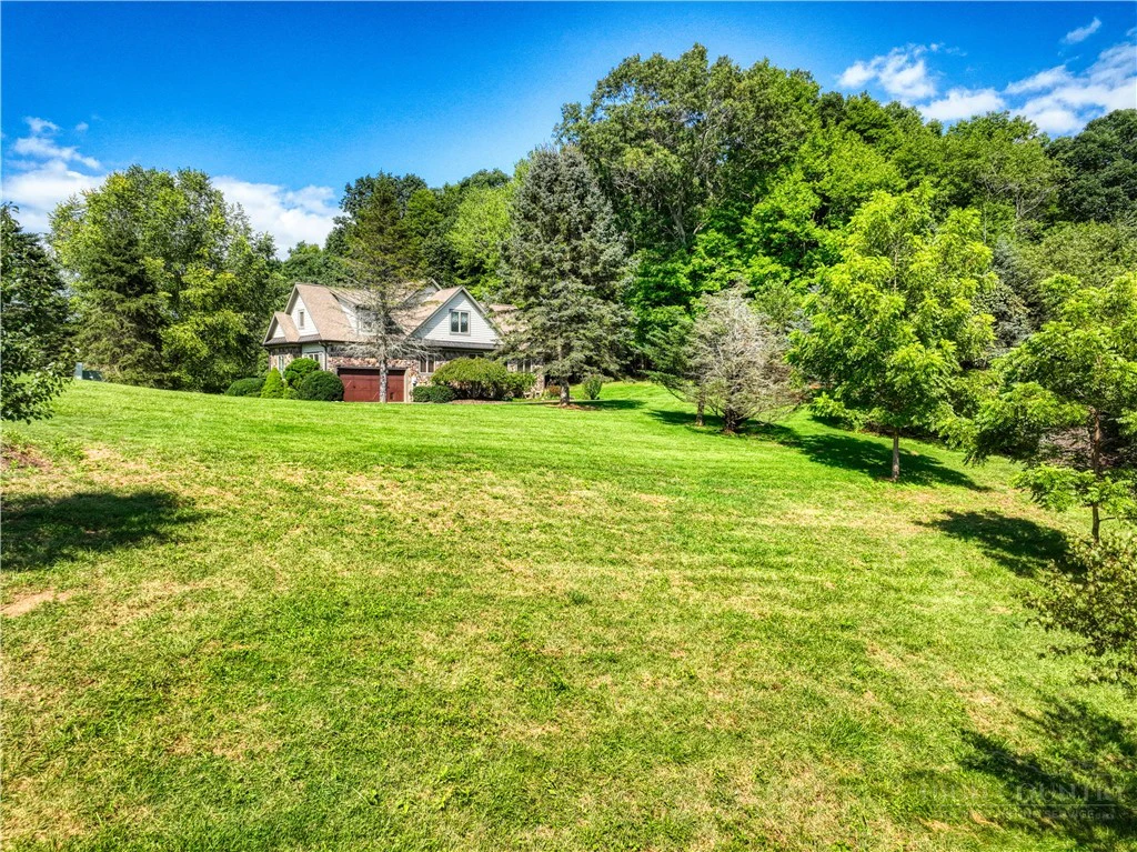 Image number 10 for the current listing