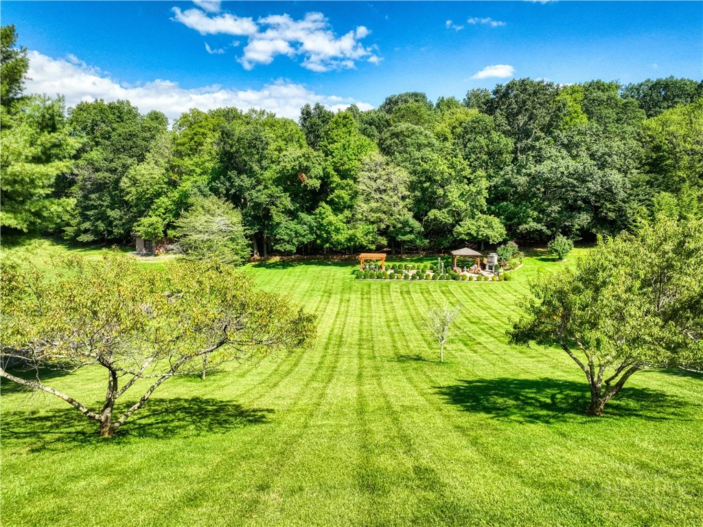 Image number 11 for the current listing