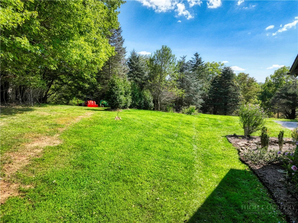 Image number 12 for the current listing
