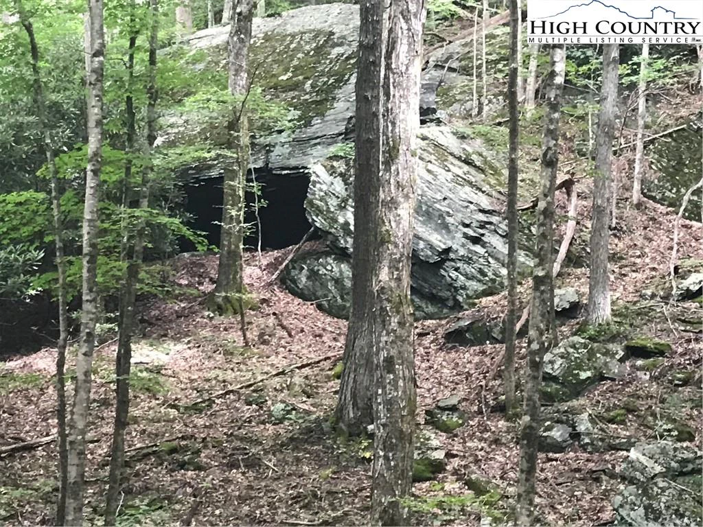 Image number 1 for the current listing