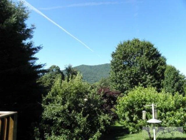 Image number 2 for the current listing