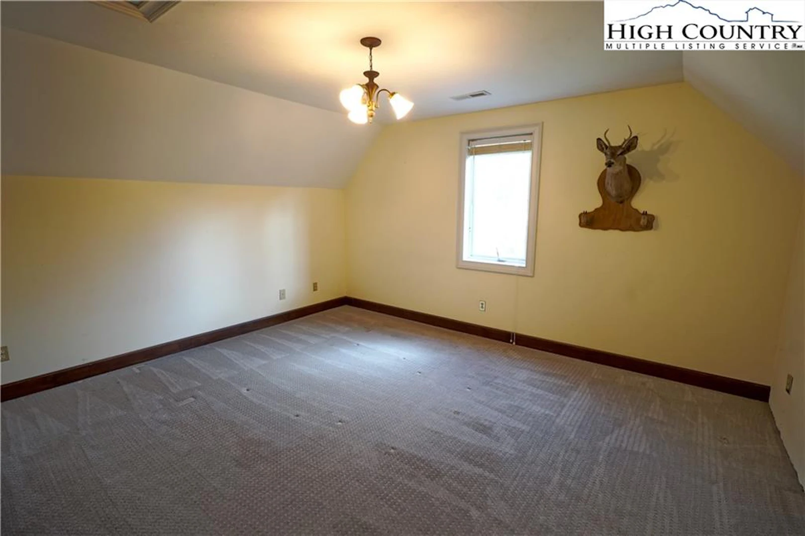 Image number 9 for the current listing