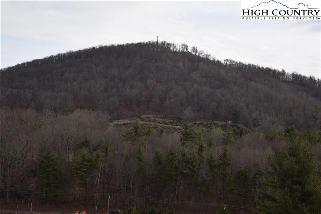 Image number 7 for the current listing