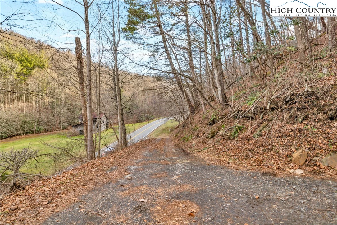 Image number 3 for the current listing