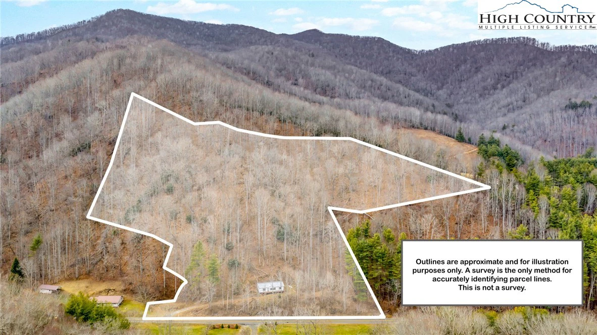 Image number 1 for the current listing