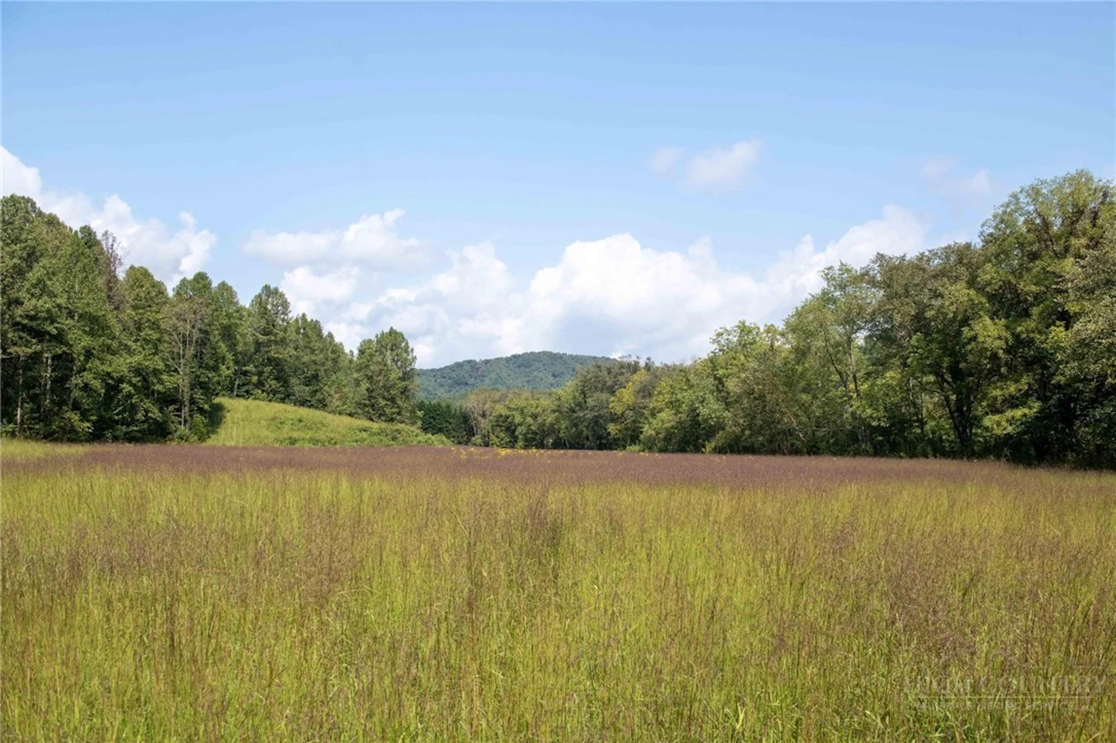 Image number 1 for the current listing
