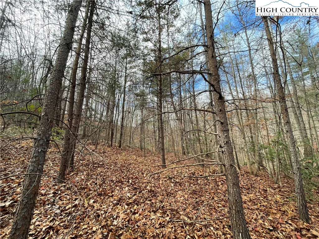 Image number 1 for the current listing
