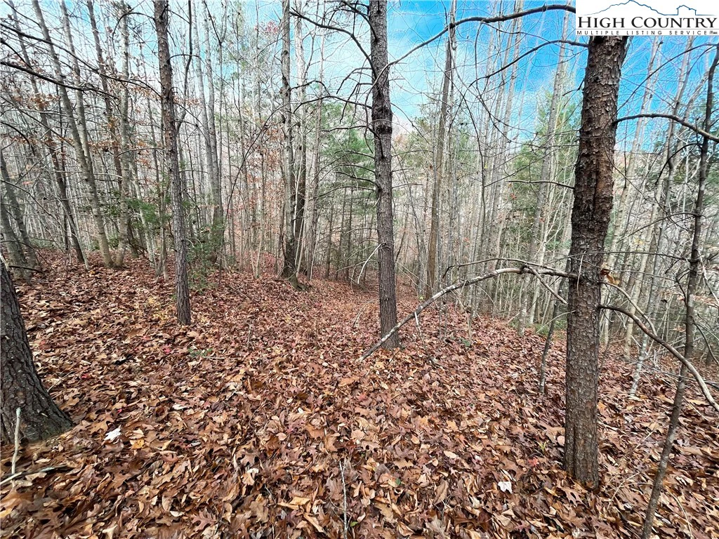 Image number 3 for the current listing