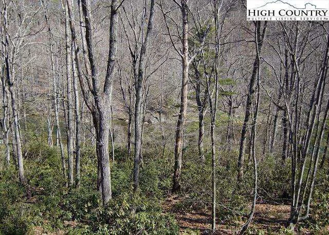Image number 4 for the current listing