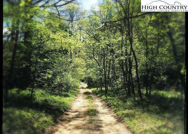 Image number 3 for the current listing