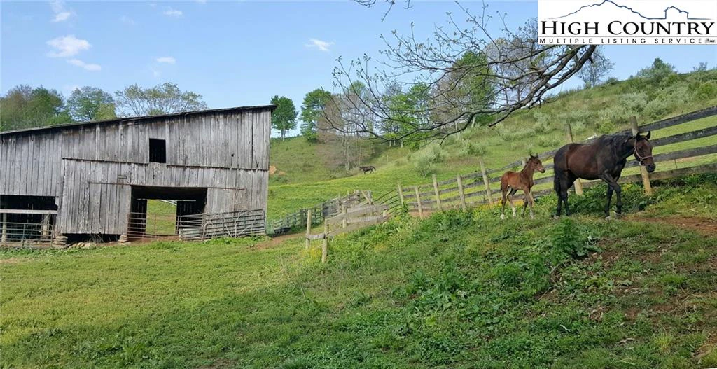 Image number 20 for the current listing