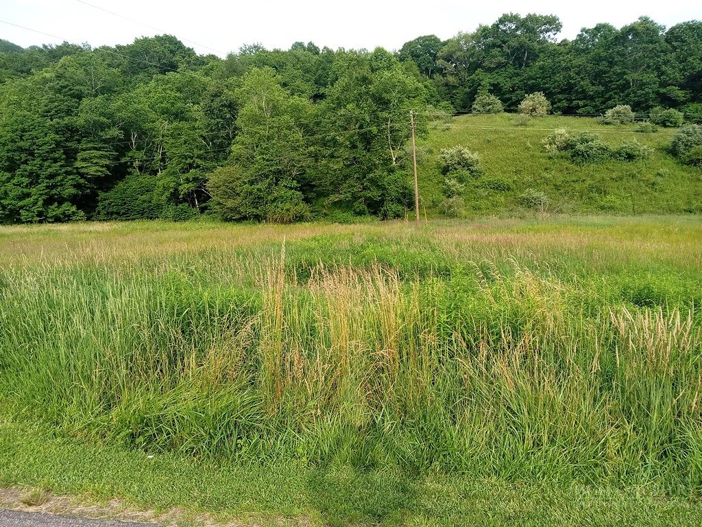 Image number 3 for the current listing