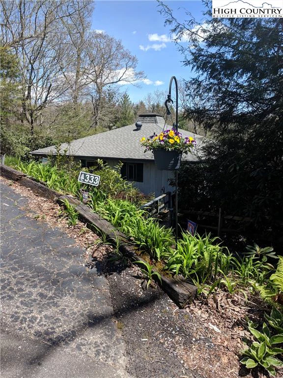 Image number 1 for the current listing