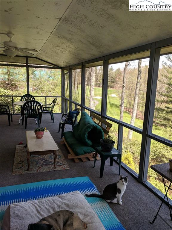 Image number 12 for the current listing