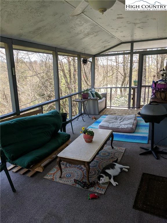 Image number 11 for the current listing