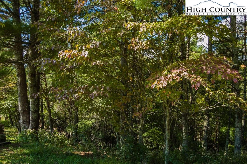 Image number 5 for the current listing