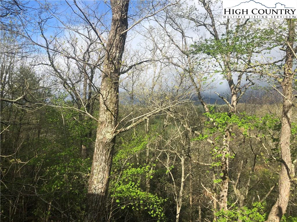 Image number 3 for the current listing