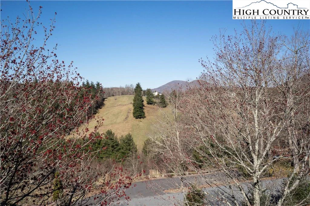 Image number 8 for the current listing