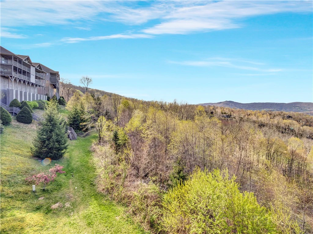 Image number 13 for the current listing