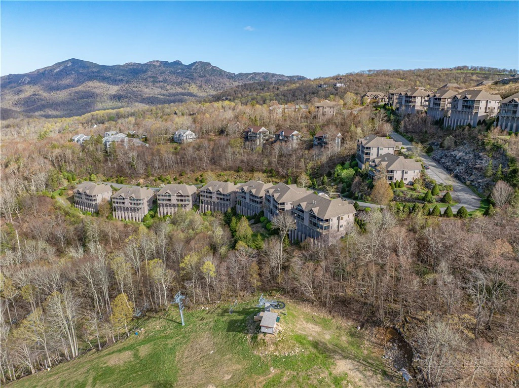 Image number 15 for the current listing