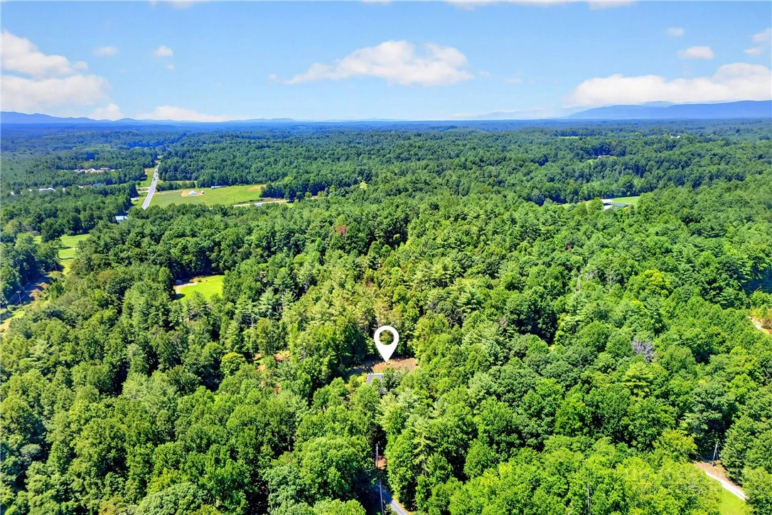 Image number 4 for the current listing