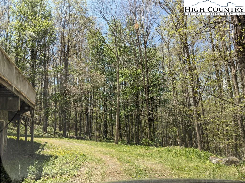 Image number 4 for the current listing
