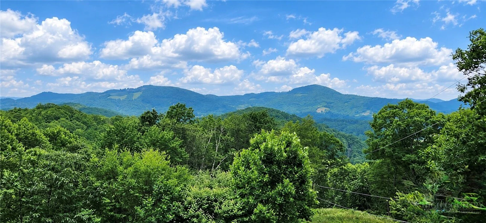 Image number 1 for the current listing