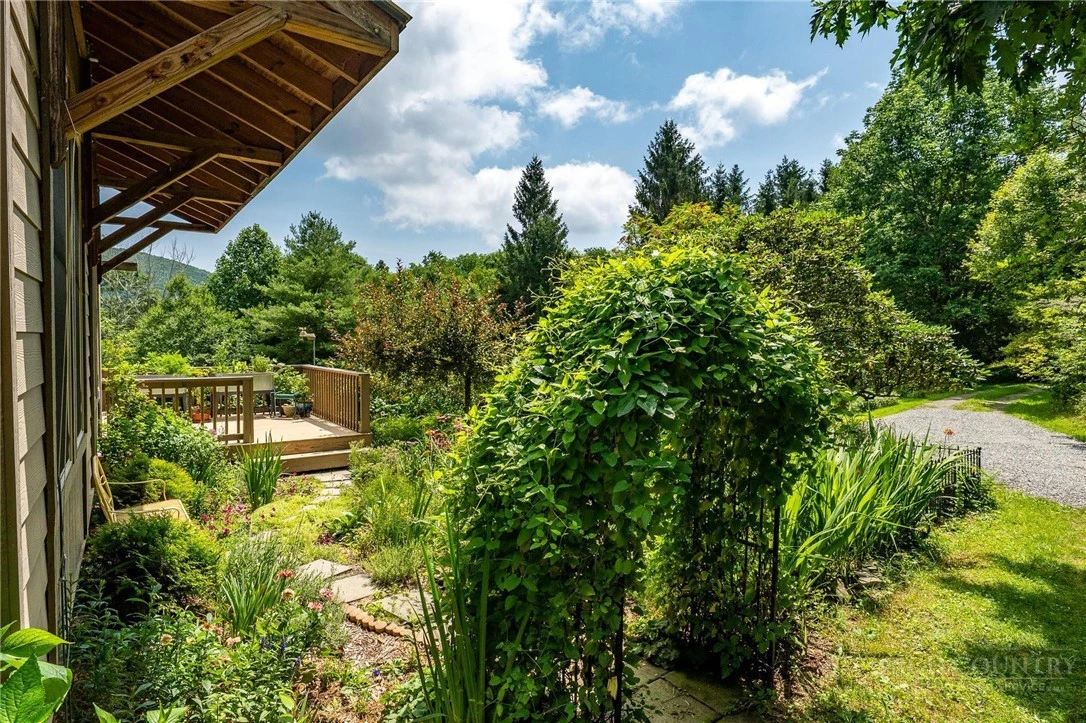 Image number 4 for the current listing